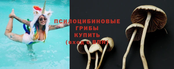 ALPHA PVP Беломорск