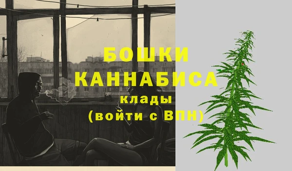 тгк Белокуриха