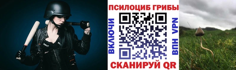 Галлюциногенные грибы прущие грибы  Раменское 